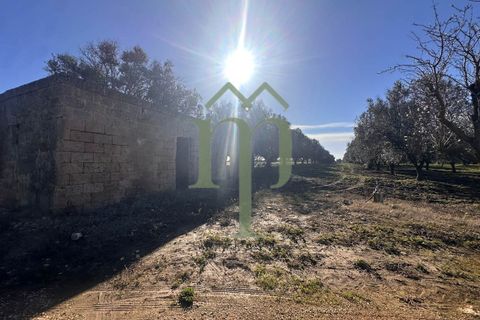 Ruinere i Brindisi, Brindisi, Brindisi - € 68.000 | Ref: Casolare Bern - foto 38